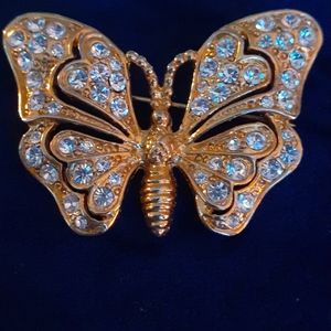 Beautiful  Butterfly  pin